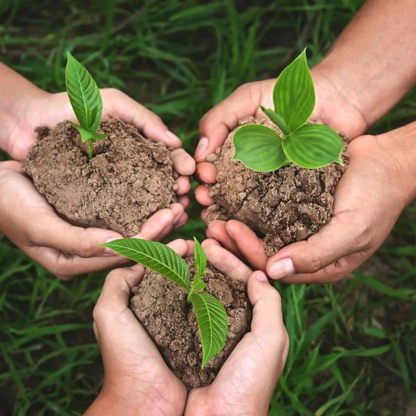 plant-seeds plant-seeds