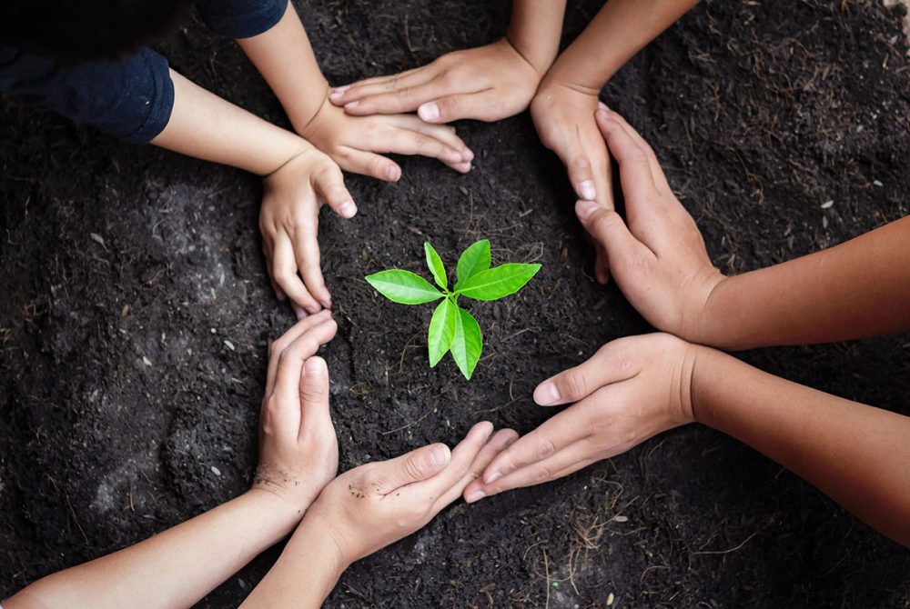 save-green save-green